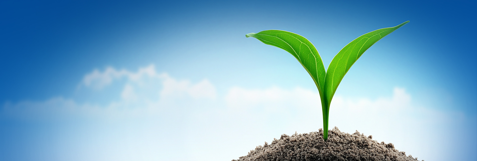 ��ʱ������(�й���)�������ǲ�!